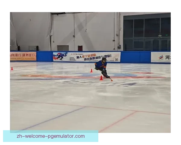 世界冰球大奖赛：冰上极速对决