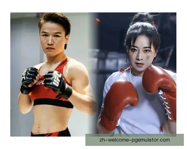 世界拳击纪录：惊人壮举与超越辉煌