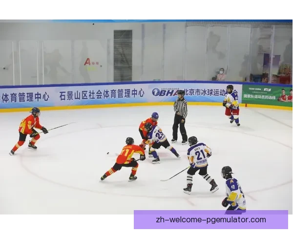 冰球联赛风云：激情对决，巅峰对决