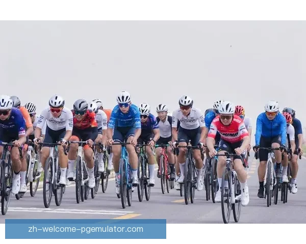 学习骑行技巧，提升骑行乐趣