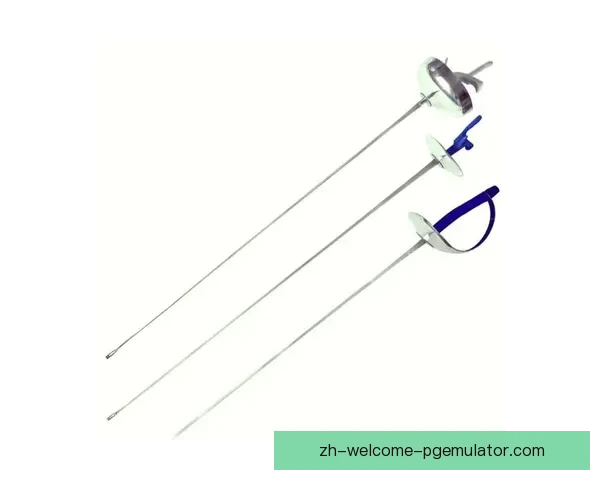 学习击剑技巧，提高实战表现教你如何成为击剑高手