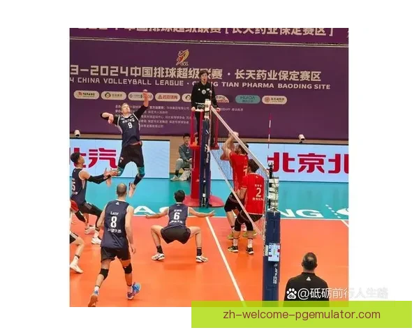 排球投注技巧：赢在细节，稳中求胜