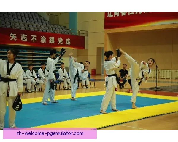 探讨跆拳道训练方法的有效性及实践指导