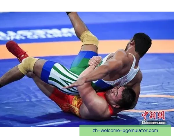 摔跤实时比分一览无余