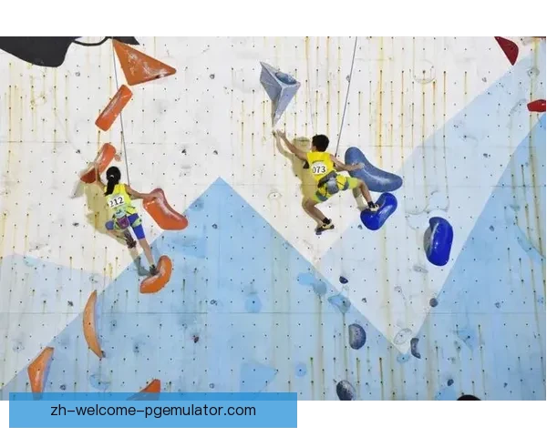 攀岩赛事精彩回放：挑战高空，征服自我