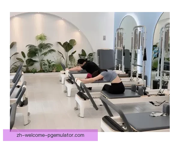 普拉提排名揭榜，探寻最具潜力的优秀候选者