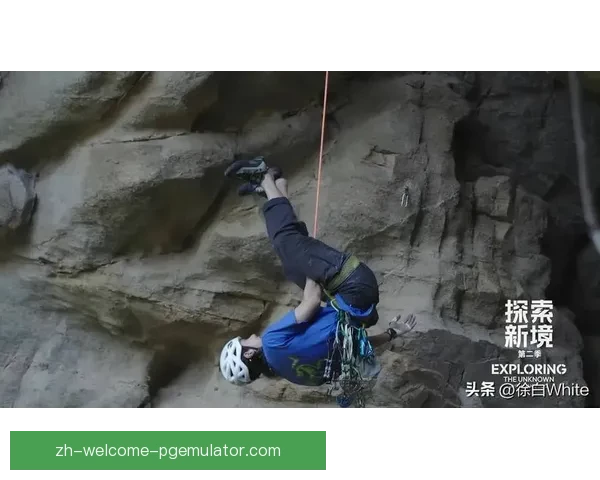 攀登高山，挑战极限：对战策略与技巧分析