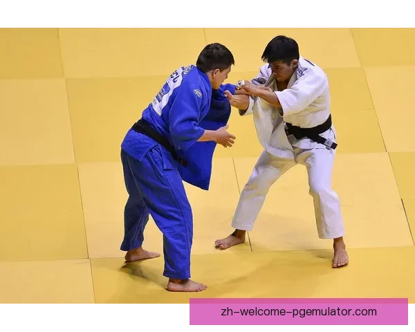 柔道精粹：技艺传承与实战应用