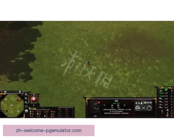 深度探索瑜伽修行：技巧与方法详解