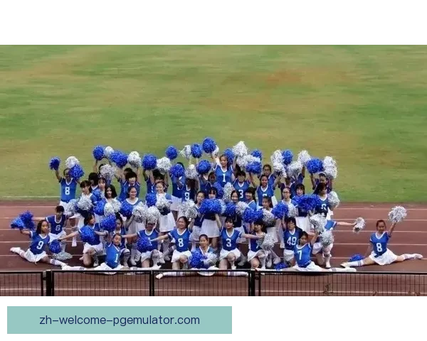 橄榄球世界纪录：壮丽辉煌的运动传奇