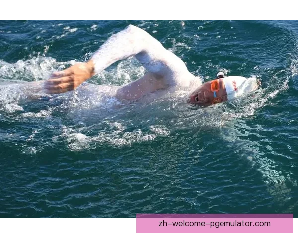 游泳赛程：挑战新高度，勇往直前