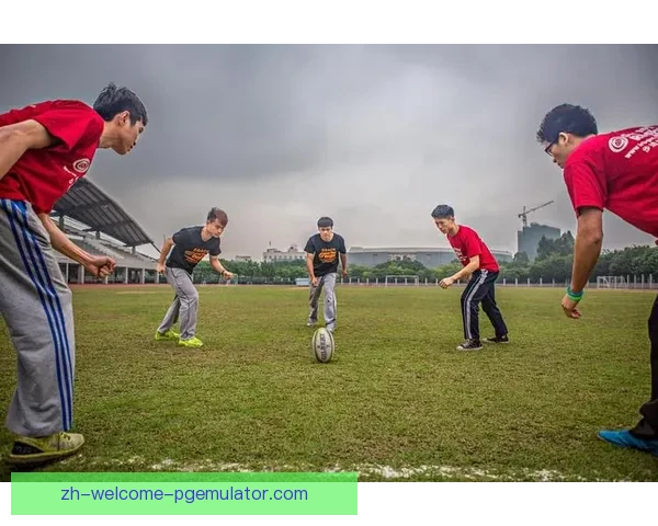 橄榄球投注技巧大揭秘，助你成为投注高手