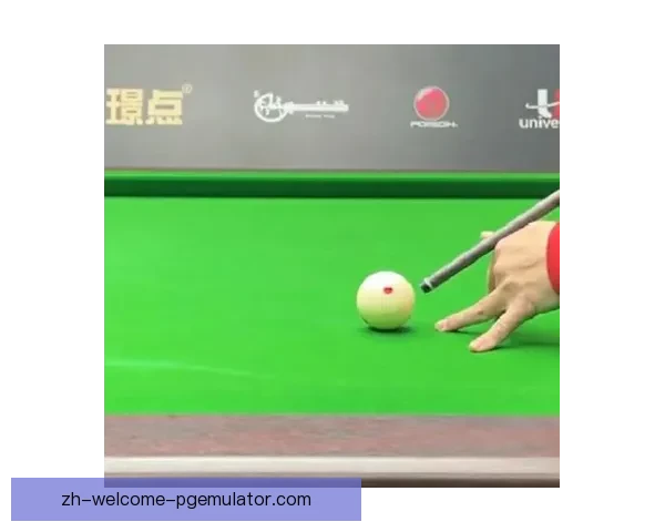 游泳排名大揭秘：分析世界级选手的成功秘诀