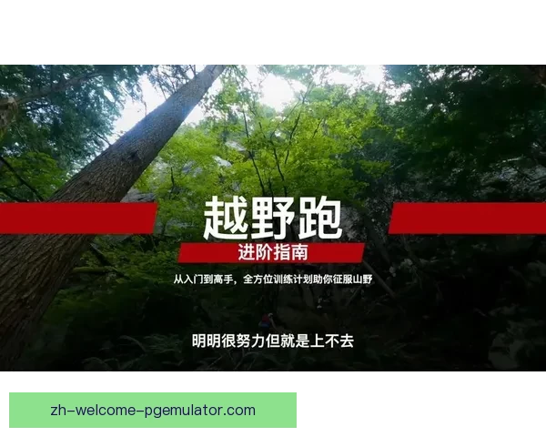 穿越山林，征服自我：挑战极限的越野跑征程