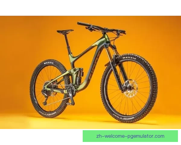 自行车投注技巧大揭秘,助您成为投注高手 自行车投注技巧大揭秘,助您成为投注高手