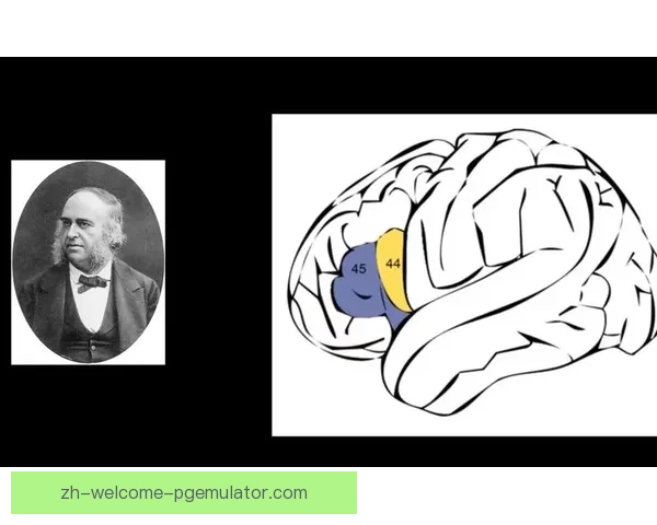 羽毛球发展与演变:历史记载与里程碑 羽毛球发展与演变:历史记载与里程碑