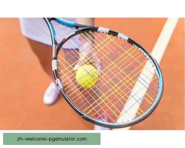 网球投注技巧大揭秘：打破亏损循环，稳赢高成功率策略分享