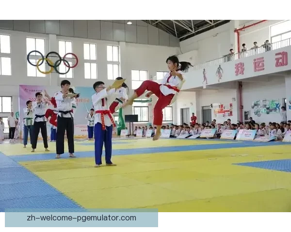 跆拳道联赛：挑战荣耀，拳拳出击