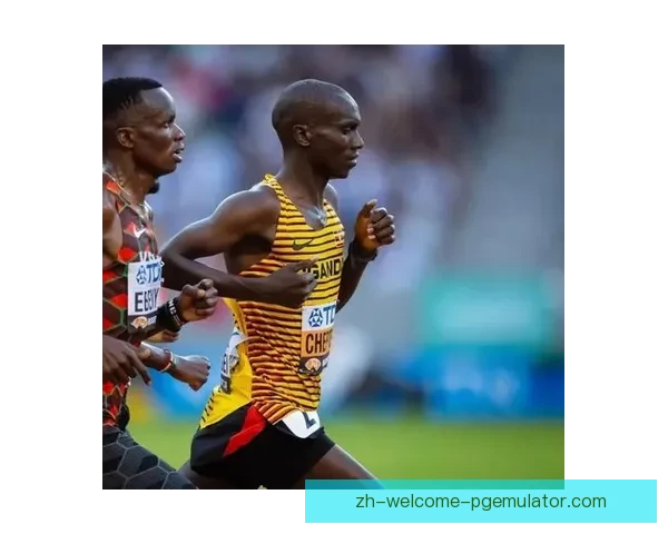 马拉松巅峰之战：争霸大奖赛赛场