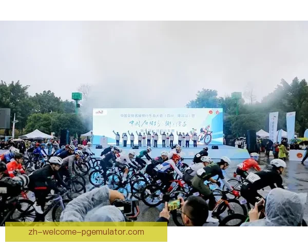 骑行风暴：探索自行车锦标赛的激情与挑战